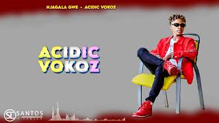 Acidic Vokoz  Njagala Gwe Official Lyrics Video [upl. by Nipsirc917]