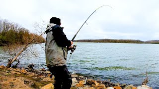 I HAVE Never Caught One This BIG Catfishing Bank fishing [upl. by Garrity]