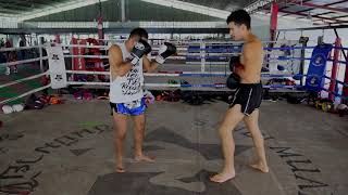 Muay Thai Basics  How to Throw a Muay Thai Teep Front and Rear [upl. by Bunns220]