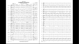 Music from Carmina Burana by Carl Orffarr Jay Bocook [upl. by Ffej]