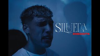 DIEGOTE  TU SILUETA Video Oficial [upl. by Enenaej]