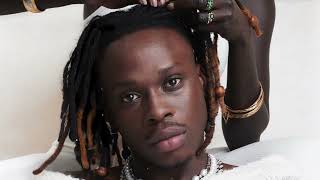 Fireboy DML  Ashawo Official Visualizer [upl. by Eckmann]