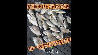 磯釣每一隻都吃到手的釣法又來了 鱗海SPECIALPE沉式釣法 黑鯛 赤翅拉到爽 沉式釣法 daiwa 磯釣り shimano 磯釣 黑鯛阿波 [upl. by Misak]