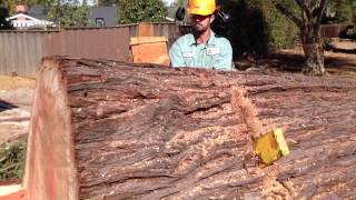 AWESOME Big Redwood Removal and Mill Job [upl. by Boni]