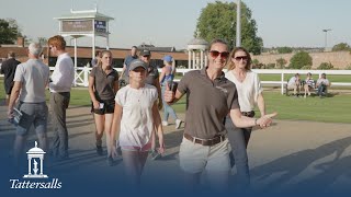 Tattersalls Somerville Yearling Sale 2023 Review [upl. by Ixel]