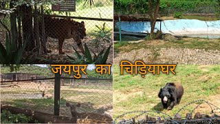 जयपुर का चिड़ियाघर  Nahargarh Biological amp Zoological Park Full Vlog Jaipur Ka Chidiyaghar ZOO [upl. by Schiffman]