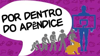 Por Dentro do Apêndice  Por Dentro 7 [upl. by Jessika]