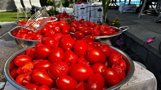 Tomato Fest 2024  Casa Tortola [upl. by Goff196]