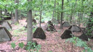 Westwall near Aachen tank traps  Siegfried Line [upl. by Anyer]