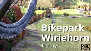 Bikepark Wiriehorn Downhill on the quotOld TBarquot und quotWery Hornyquot Trail [upl. by Ferdy]