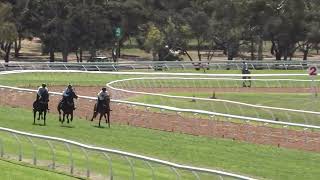 Strathalbyn 280923  Club Jump Out 11 [upl. by Adnalahs]