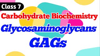 Glycosaminoglycans  GAGs  Carbohydrate Biochemistry class 7 [upl. by Aikyn]