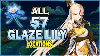 How To Get Glaze Lily  Genshin Impact  Best Farming Route [upl. by Einrae313]