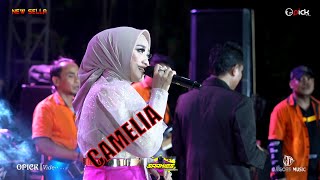 ANISA RAHMA DI CIUM PENYAWER  CAMELIA  NEW SELLA [upl. by Neelrahs329]