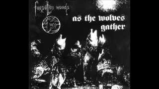 Forgotten Woods  As the Wolves Gather Full Album [upl. by Aliek775]