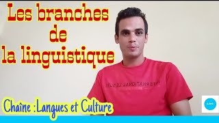 Les branches de la linguistique Introduction à la linguistique [upl. by Leotie387]