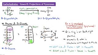 CHEM 2325 Module 36 Haworth Projections of Pyranoses [upl. by Sutit327]