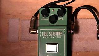 Ibanez TS808 Tube Screamer Demo [upl. by Jeritah]