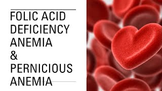 Folic acid deficiency Anemia amp Pernicious Anemia  Hematology [upl. by Meuser]