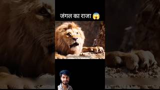 Simba movie explaination movie movieexplain video shorts [upl. by Noxid504]