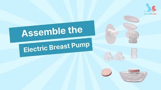 How to assemble BUMP2CRADLE Pump N Go Wearable Electric Breast Pump [upl. by Powel524]