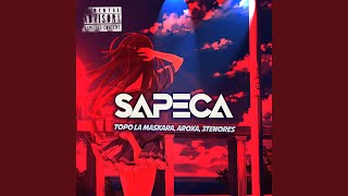 SAPECA [upl. by Etteyniv875]