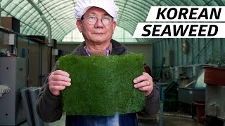 How Seaweed Harvesters Create One of Koreas Most Precious Fine Dining Ingredients — Vendors [upl. by Ahsinej]