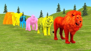 Long Slide Game With Elephant Gorilla Buffalo Hippopotamus Tiger  3d Animal Game  Funny 3d Animals [upl. by Edee590]