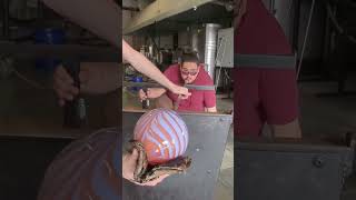 Crafting a HUGE Teardrop Vase satisfying glassblowingcraft craftsman asmr art glassart [upl. by Delos955]