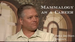 Chat with Mammalogist Jim Dines about Mammalogy as a Career [upl. by Ardeed232]