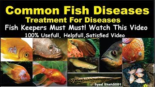 Types of Aquarium fish Disease and Treatment Of Diseases Hindi Urdu with English sub Fishdisease [upl. by Yelraf679]