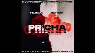 PETROV X FEJMUS  PRICHA [upl. by Kred]