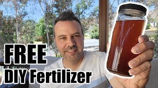 What I Use instead of Miracle Gro plus Free HomeMade Fertilizer [upl. by Libre]