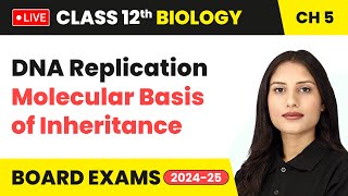 DNA Replication  Molecular Basis of Inheritance  Class 12 Biology Chapter 5  live [upl. by Cutcliffe869]