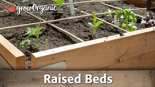 How to Grow Organic Vegetables in Raised Beds [upl. by Oicapot]