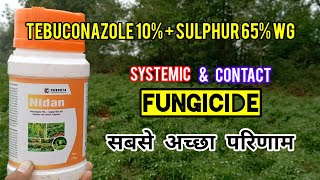 Tebuconazole 10  Sulphur 65 WG  Nidan Systemic and Contact  Fungicide   फफूंद नाशक [upl. by Anirbed]