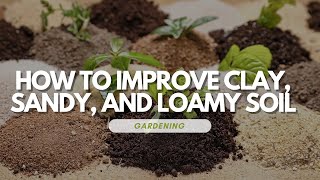 How to Improve Clay Sandy and Loamy Soil [upl. by Rebe866]