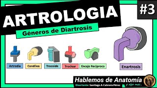 🔴👉 DIARTROSIS  GENEROS 🟩 ARTROLOGIA 3 🟪Hablemos de Anatomía y Algo Mas [upl. by Waldemar663]