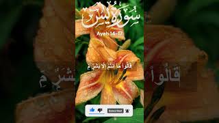 Surah Yaseen Ayah 14 to 17 beautiful recitation shorts ytshorts youtubeshorts surahyaseen [upl. by Goddard]