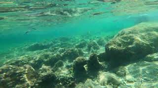 🌊🤿 Marina Manresa Mallorca bajo el mar  1080 60Fps [upl. by Comfort]