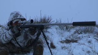 Predator Hunting SUPPRESSED® quotTriple Downquot [upl. by Esinek327]