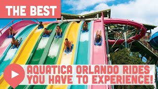 Aquatica Orlando Rides You HAVE to Experience [upl. by Xirtaeb]