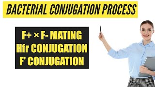 BACTERIAL CONJUGATION PROCESS\F× F MATING\Hfr CONJUGATION\ F CONJUGATION [upl. by Ezekiel]