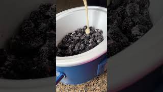 Slow Cooker Blackberry Cobbler [upl. by Nekciv318]