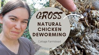 Worms in chicken poop GROSS  How naturally deworm chickens [upl. by Obeded]