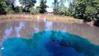 How to control pond algae with aquatic dye [upl. by Lorenz]