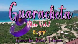 Guaracheta Mix Vol 7 By Blaster Dj Set Guaracha Aleteo Techouse [upl. by Xella]