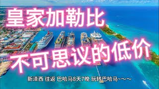 《彩虹之旅捡漏王》（15）不可思议的低价！ [upl. by Ahsiya]