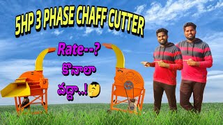 5HP 3 PHASE CHAFF CUTTER For Dairy farmCHAFF CUTTER Rate and DetailsMini Dairy farm [upl. by Anoerb]