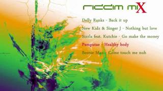 Fern Gully Riddim Mix August 2010 [upl. by Cletis]